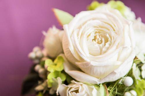 Hotel Weber, Cologne